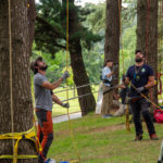 Escapades Branchées grimpe arbres nantes