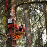 Escapades Branchées grimpe arbres nantes