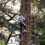 Escapades Branchées grimpe arbres nantes
