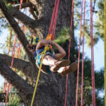 Escapades Branchées grimpe arbres nantes