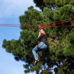Escapades Branchées grimpe arbres nantes