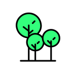 Arbres (1) Arbres (1)