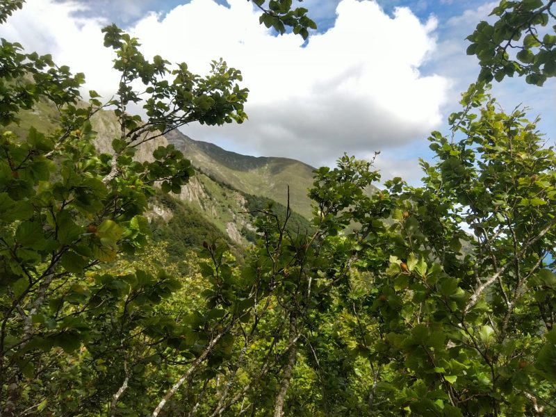 IMG-20200902-WA0006