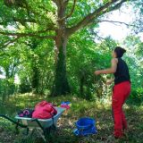 IMG_20180601_154301